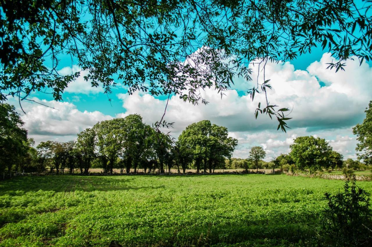 Corrib View Farmhouse Galway Luaran gambar